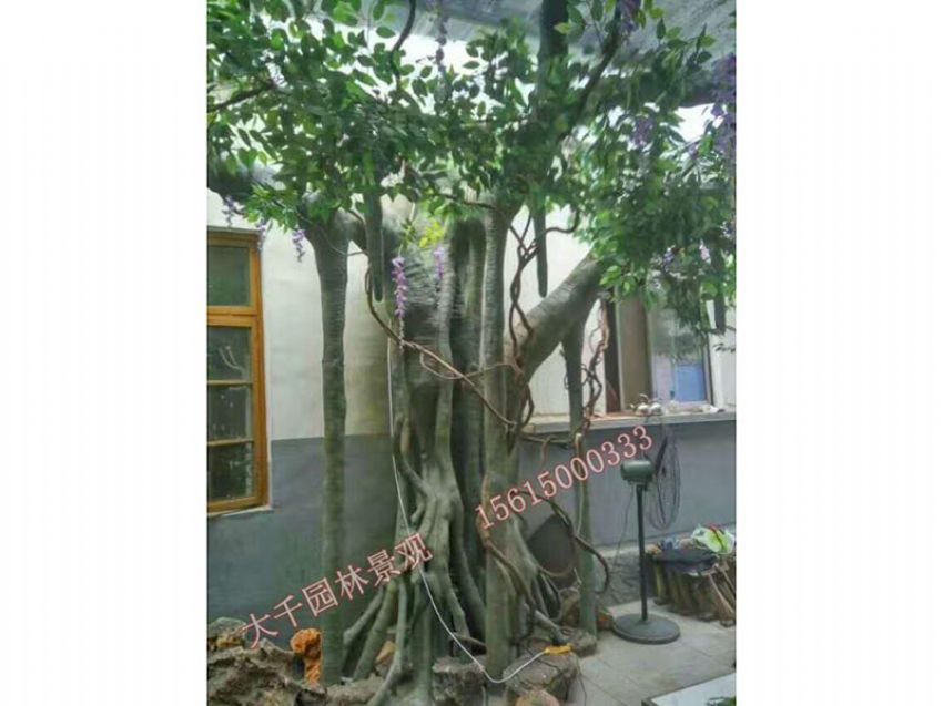 點(diǎn)擊查看詳細(xì)信息<br>標(biāo)題：假樹(shù) 閱讀次數(shù)：1634